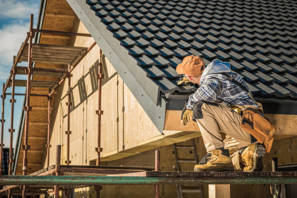 Best Roof Gutter Cleaning  in Hawarden, IA